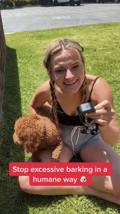 BarkGuard™ Smart Collar